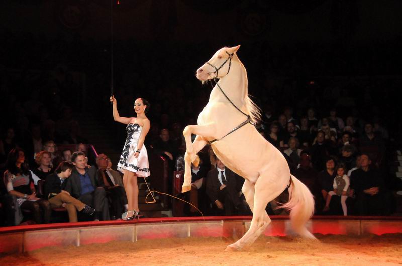 2012_12_25_02279.jpg