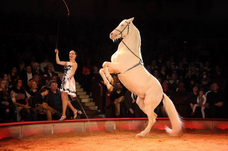 2012_12_25_02281.jpg