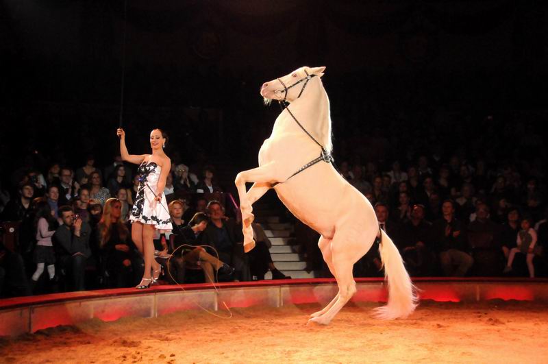 2012_12_25_02285.jpg