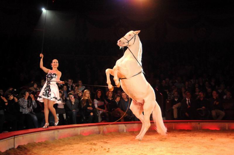 2012_12_25_02289.jpg