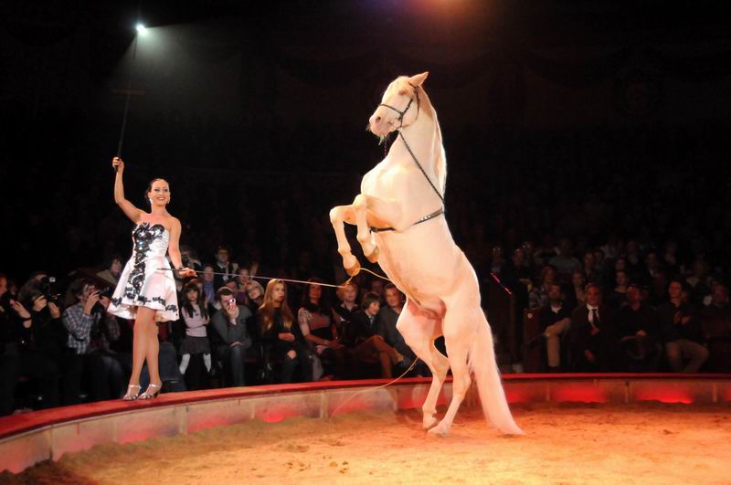2012_12_25_02290.jpg