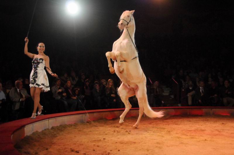 2012_12_25_02295.jpg