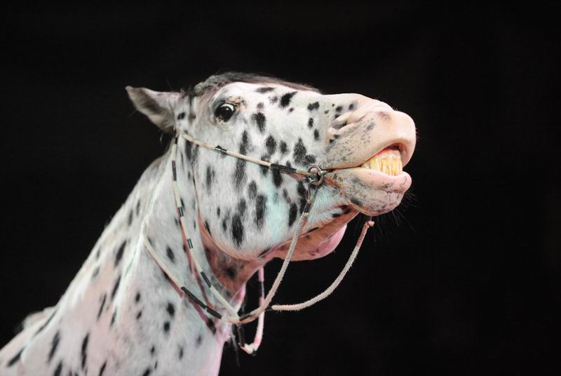 2012_12_25_03290.jpg