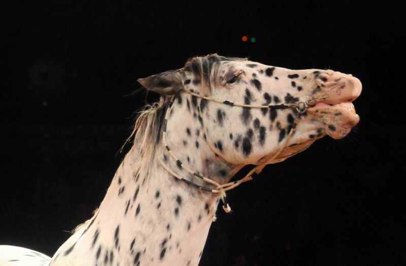 2012_12_25_03360.jpg
