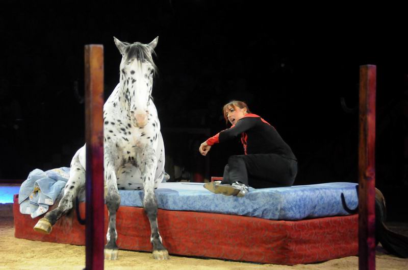 2012_12_25_03380.jpg