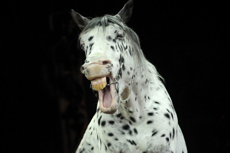 2012_12_25_03394.jpg