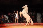 2012_12_25_02276.jpg