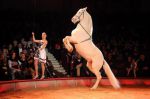 2012_12_25_02282.jpg