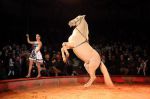 2012_12_25_02286.jpg
