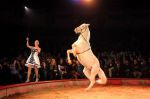 2012_12_25_02288.jpg