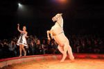 2012_12_25_02289.jpg