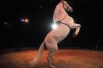 2012_12_25_02308.jpg