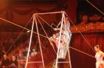 2012_12_25_04615.jpg