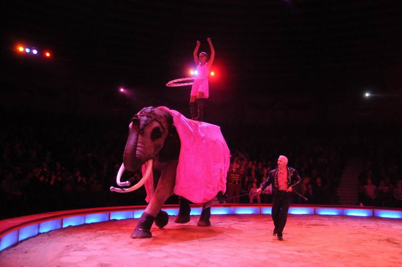 2013_02_01_03768.jpg