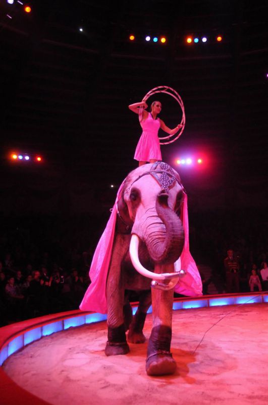2013_02_01_03769.jpg