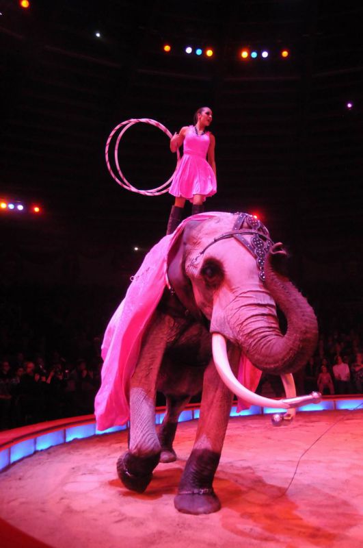 2013_02_01_03771.jpg