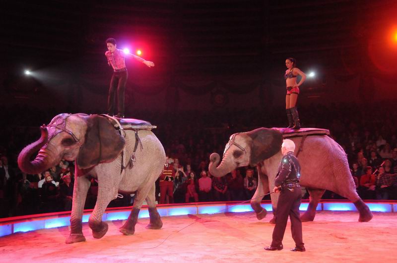 2013_02_01_03789.jpg