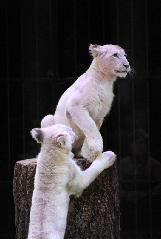 2013_02_01_04115.jpg