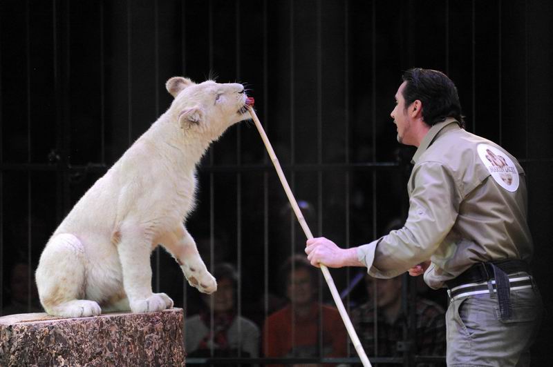 2013_02_01_04123.jpg