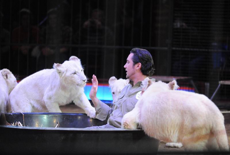 2013_02_01_04142.jpg