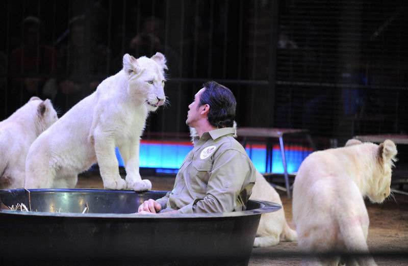 2013_02_01_04143.jpg