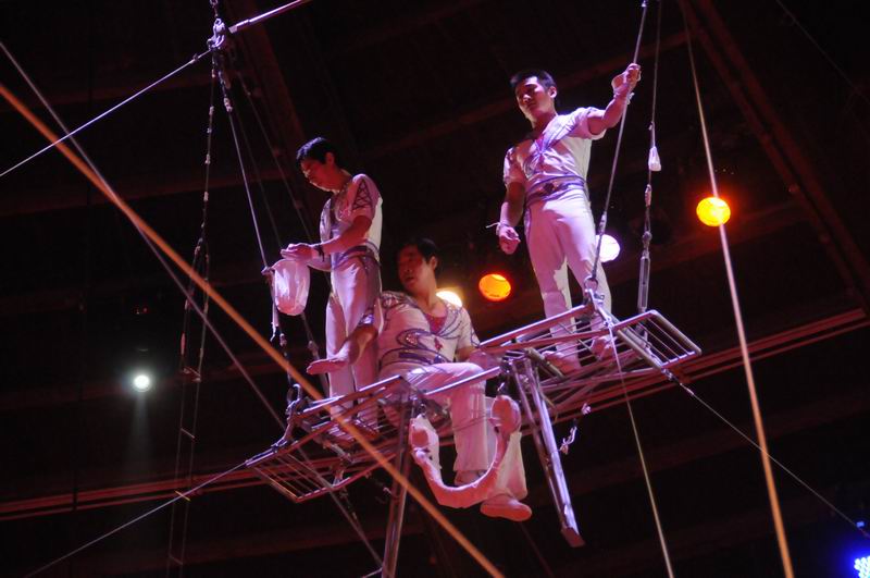 2013_02_01_05348.jpg