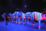 2013_02_01_02941.jpg