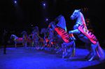 2013_02_01_02998.jpg