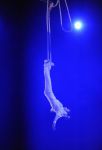 2013_02_01_03279.jpg