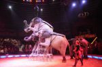 2013_02_01_03578.jpg