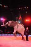 2013_02_01_03626.jpg