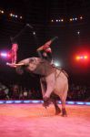 2013_02_01_03635.jpg