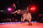 2013_02_01_03647.jpg
