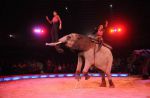 2013_02_01_03648.jpg
