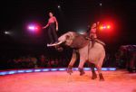 2013_02_01_03650.jpg