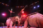 2013_02_01_03675.jpg