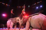 2013_02_01_03676.jpg