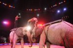 2013_02_01_03679.jpg