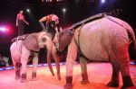2013_02_01_03684.jpg