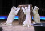 2013_02_01_04196.jpg