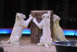 2013_02_01_04197.jpg