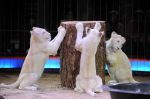 2013_02_01_04198.jpg