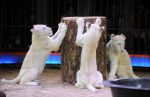 2013_02_01_04199.jpg