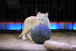 2013_02_01_04207.jpg