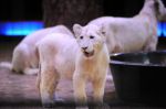 2013_02_01_04213.jpg