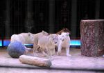 2013_02_01_04225.jpg