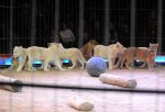 2013_02_01_04232.jpg