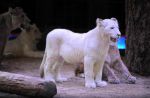 2013_02_01_04245.jpg