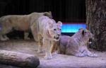 2013_02_01_04247.jpg