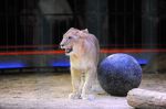 2013_02_01_04249.jpg